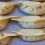Dumpling chain fined $4m for ‘scheme to rob employees’