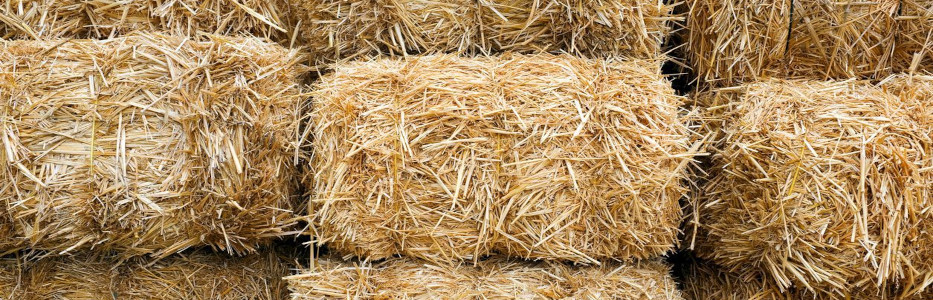 Gippsland farm operator has been charged after worker fatality