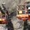 Mulligan Geotechnical fined $225k after worker ‘catapulted’ in tree disaster